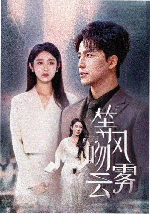 《回声档案》封面图
